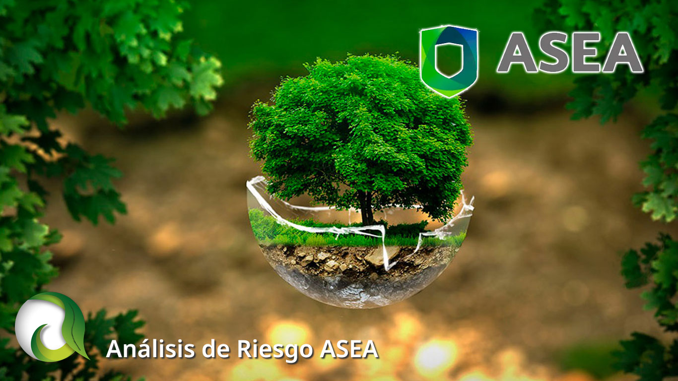 Análisis de Riesgo ASEA