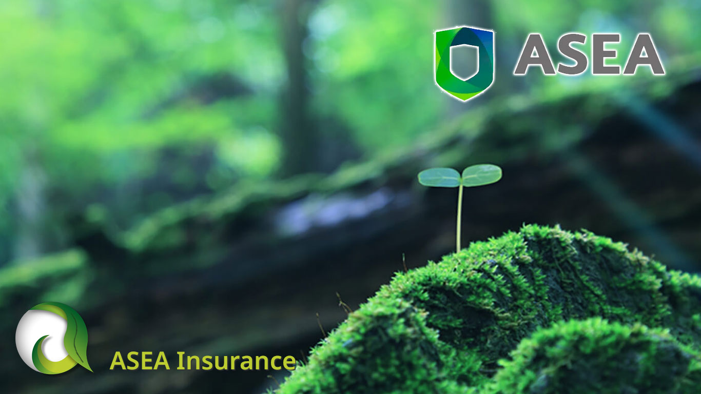 ASEA Insurance