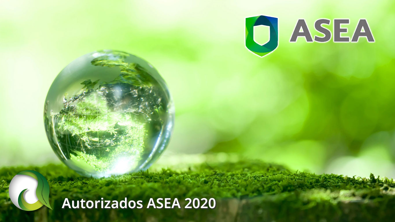 Autorizados ASEA 2020