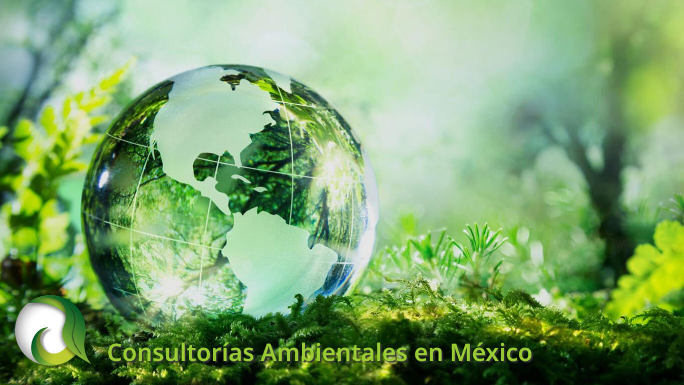 Consultorías Ambientales en México