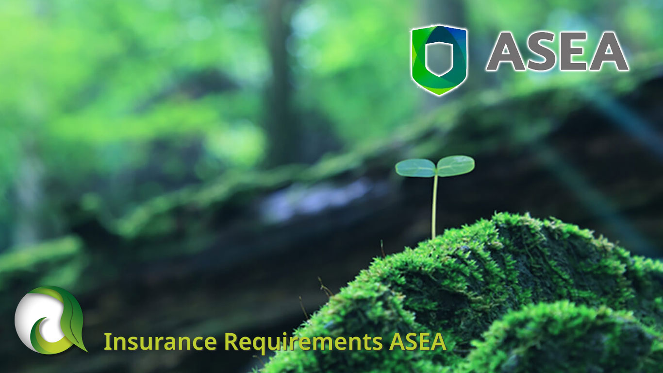 Insurance Requirements ASEA