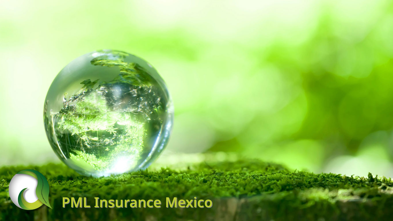 PML Insurance Mexico