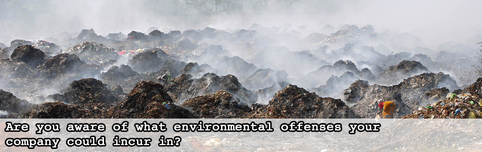 Environmental Offenses