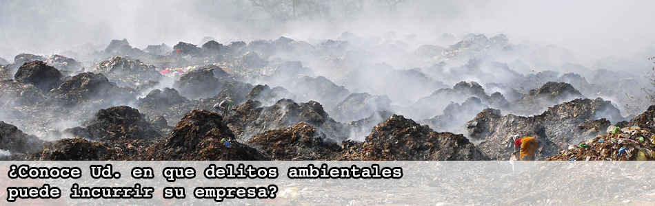 Delitos Ambientales 4